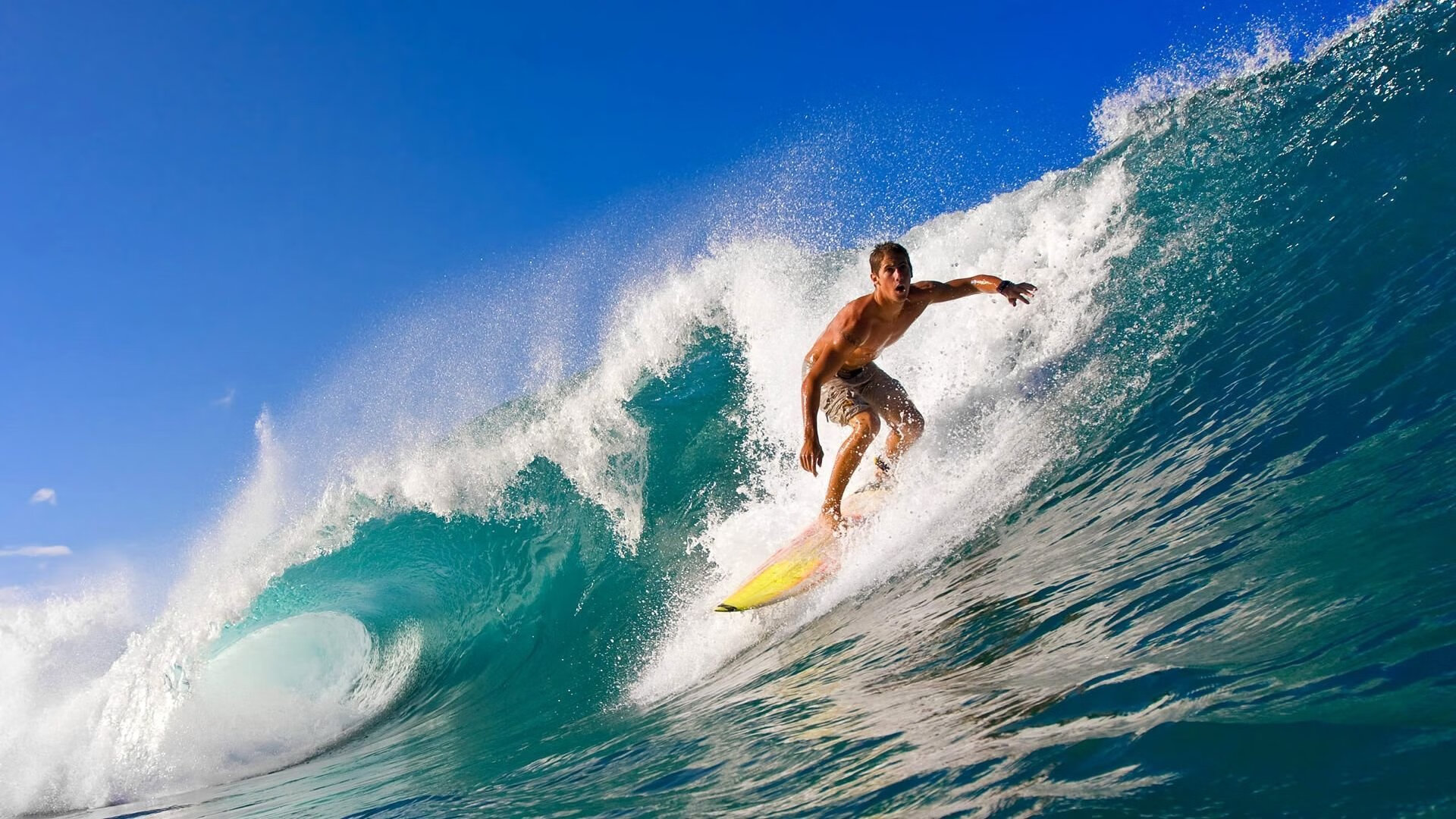 逆转之夜，福克斯一锤定音，爵士绝境逢生